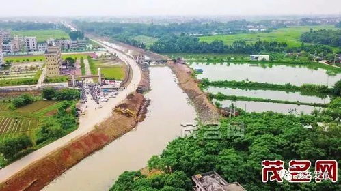 南方日?qǐng)?bào) 今天刊發(fā)李紅軍專訪文章,透露哪些重要信息